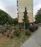 Domator Sp. z o.o. Zarządzanie nieruchomościami. (w organizacji)